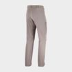 Picture of Salomon wayfarer pants for men Iron